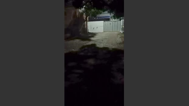 Frajuni 26-10-2025 Recorded Video suckshow