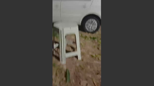 Frajuni 27-10-2025 Recorded Video suck