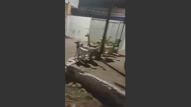 Frajuni 27-10-2025 Recorded Video fuckher