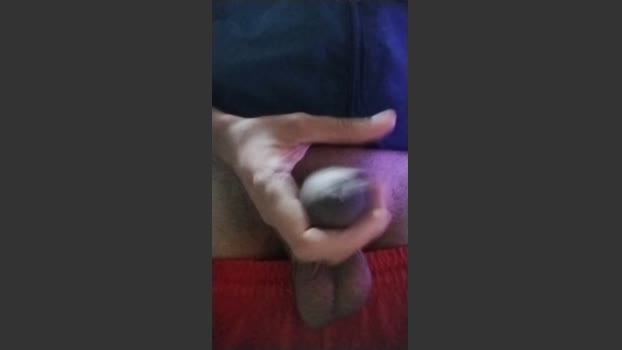 Grossofy1 27-10-2025 Recorded Video sexybody