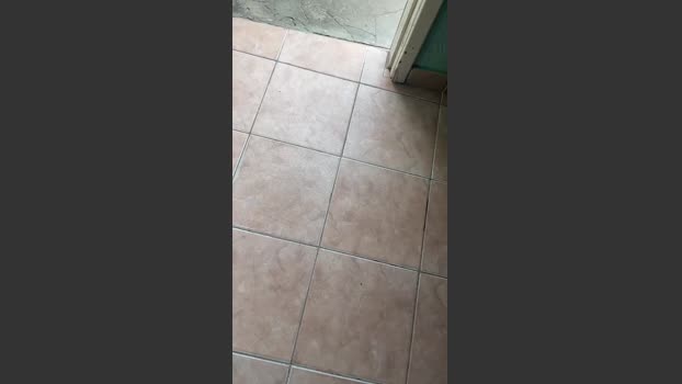 Noovinnovato 26-10-2025 Recorded Video juicy
