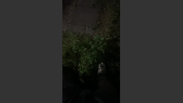Zayx 27-10-2025 Recorded Video hard