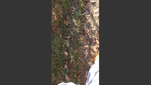 bulgingarmy 26-10-2025 Recorded Video bigballs