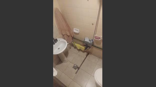 loboestepario14 27-10-2025 Recorded Video big