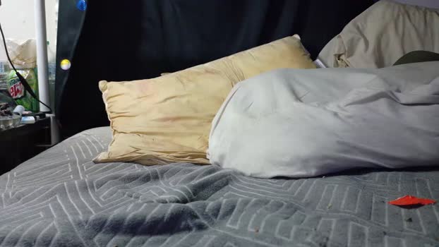 otoole 27-10-2025 Recorded Video beauty