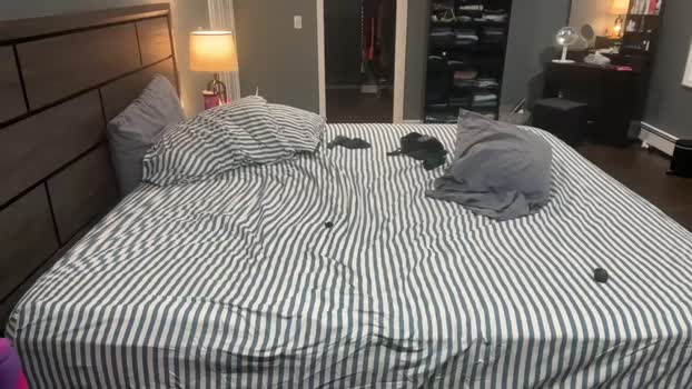 Chacee84 28-10-2025 Recorded Video bigass