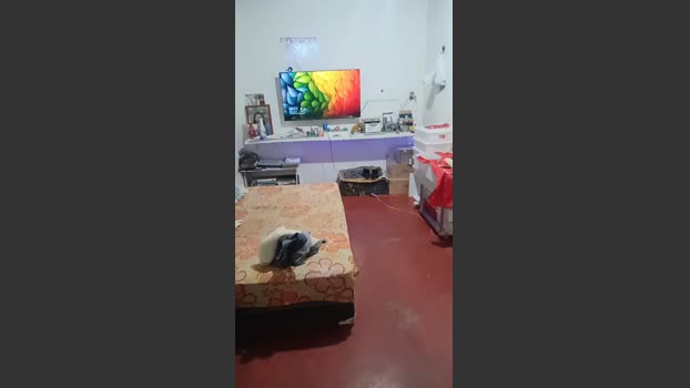 Ielriscam 28-10-2025 Recorded Video Recorded