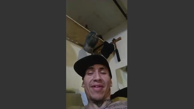 Intoxicado420 28-10-2025 Recorded Video twink
