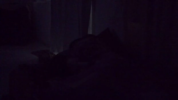Mariokurt 27-10-2025 Recorded Video Recorded