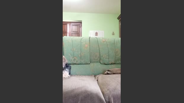 Pareja8986 29-10-2025 Recorded Video suck