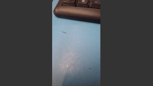 Plair4421 29-10-2025 Recorded Video Pretty