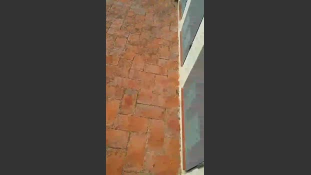 adri28bcn 29-10-2025 Recorded Video sweet