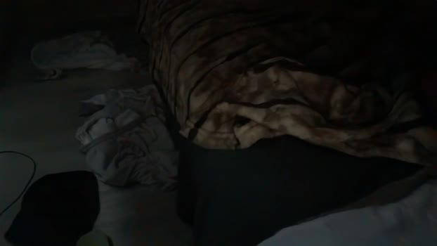 casadoswing2 29-10-2025 Recorded Video love