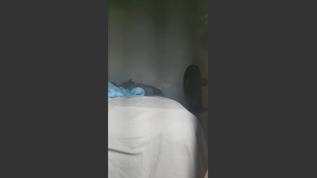 only19ws 28-10-2025 Recorded Video show