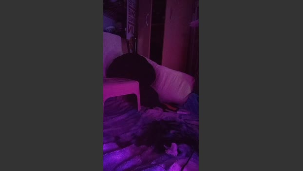 physicssexpert 28-10-2025 Recorded Video moan
