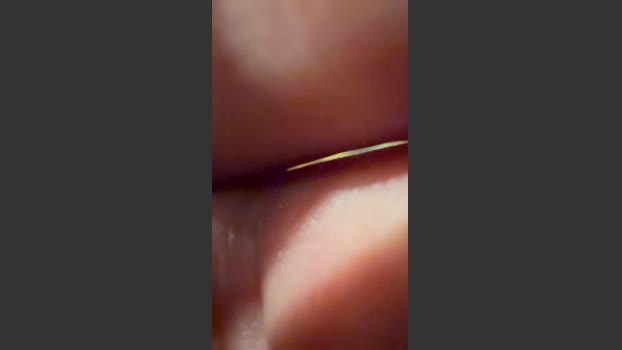segredo1980 29-10-2025 Recorded Video kinky