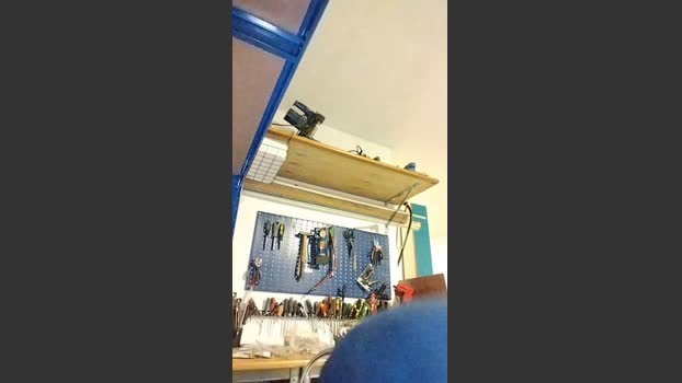 Nudista1984 29-10-2025 Recorded Video analtoy