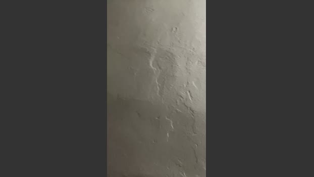 sx123x 30-10-2025 Recorded Video fuckme