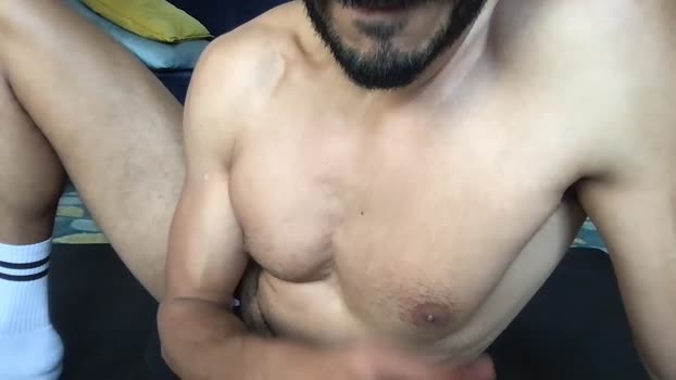boxer_hot4 31-10-2025 Recorded Video big