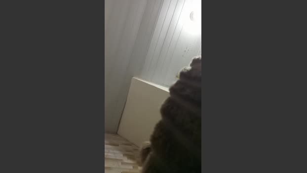 morenohangelic2 31-10-2025 Recorded Video lovense