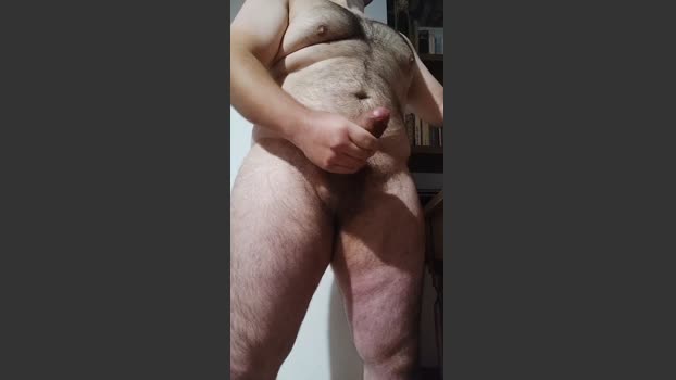 orso186
