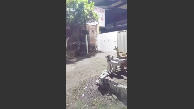 Flanjuh 01-11-2025 Recorded Video cute