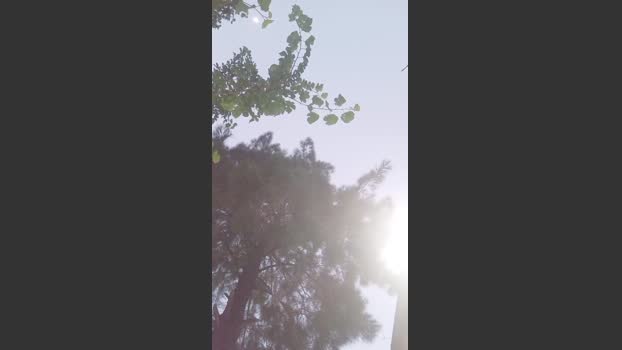 jonypijon7 31-10-2025 Recorded Video bigdick