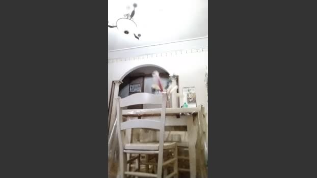 vinci862 01-11-2025 Recorded Video fuckhard