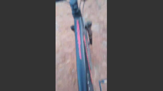 Daddy_capixaba 01-11-2025 Recorded Video beauty