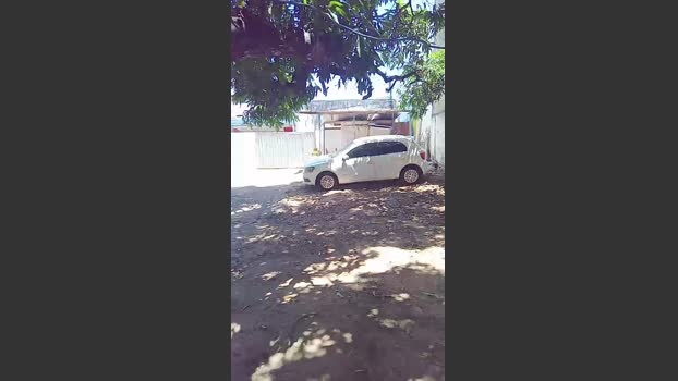 Flanjuh 02-11-2025 Recorded Video blowjob