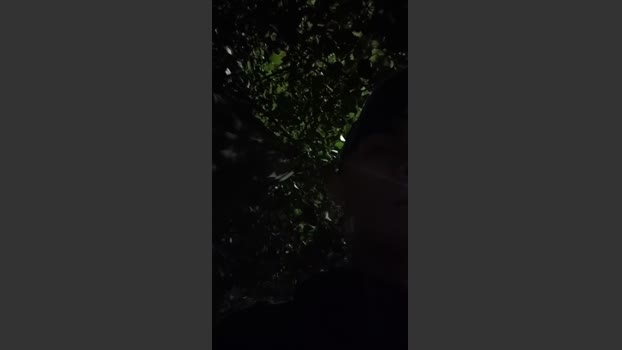 Sexylatinogay 02-11-2025 Recorded Video sexy