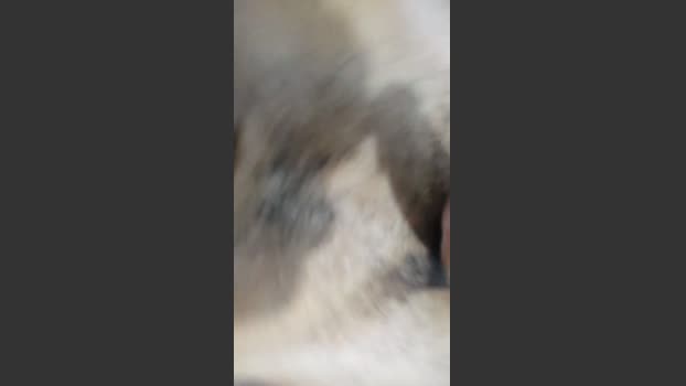 Zabeer1 02-11-2025 Recorded Video bigass