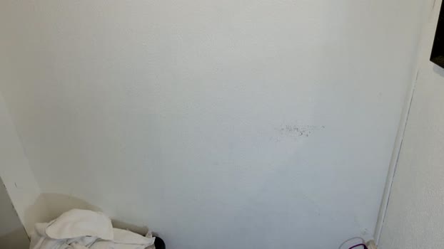 bearhairs 01-11-2025 Recorded Video bicurious