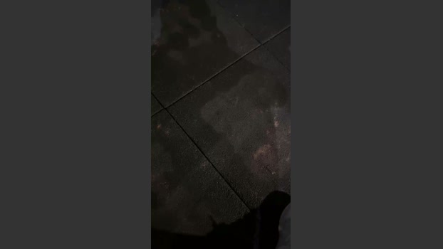 map00004 02-11-2025 Recorded Video Show