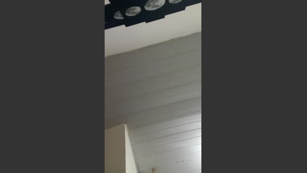 morenohangelic2 01-11-2025 Recorded Video bigcock