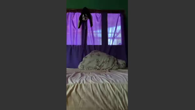 AXELCAM21CM 03-11-2025 Recorded Video love