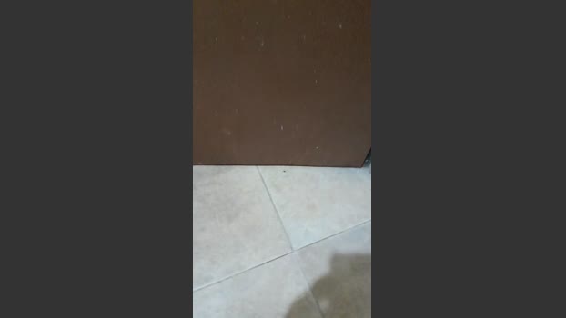 Elplayer25 03-11-2025 Recorded Video naughty