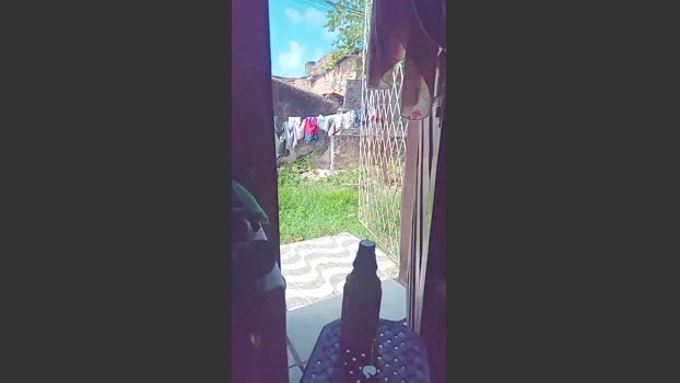 Flanjuh 02-11-2025 Recorded Video lush