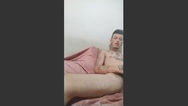 RuivoDotado24cm 02-11-2025 Recorded Video lush