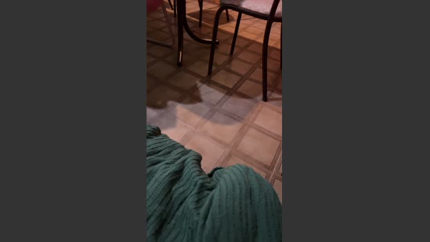 garciajoseandr3 03-11-2025 Recorded Video oral