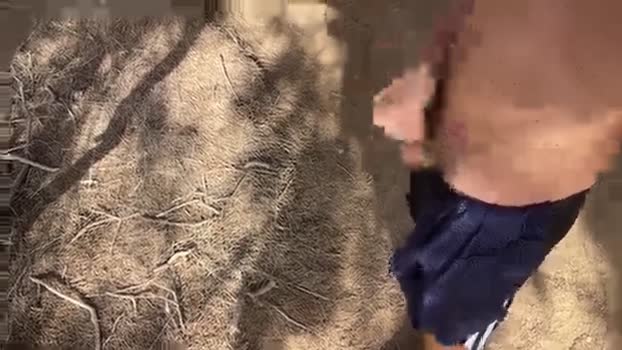 Pabloysebas 03-11-2025 Recorded Video lick