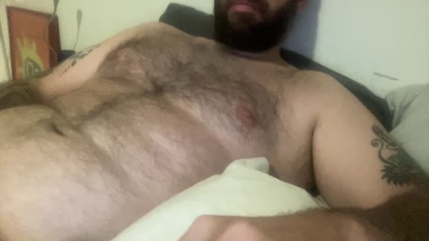 bear3393