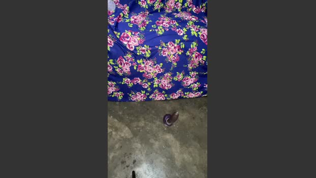 safadaocamm4 04-11-2025 Recorded Video beauty