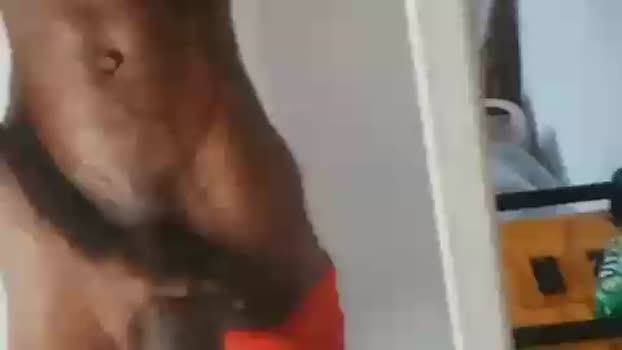 BrazilYoungBull