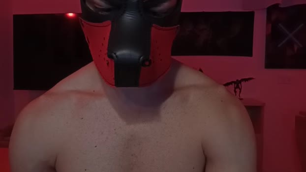 Frabroker 05-11-2025 Recorded Video suck