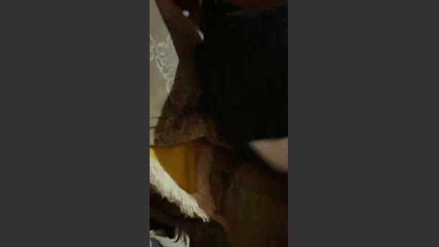 Infjb 05-11-2025 Recorded Video bigcock