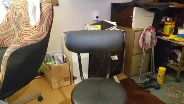 eusebio__ 05-11-2025 Recorded Video bigass