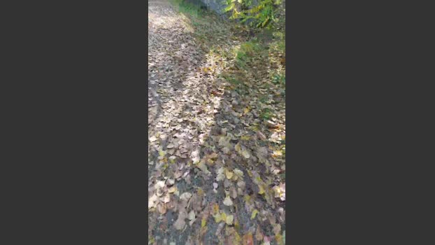 pandarosso1 06-11-2025 Recorded Video Video