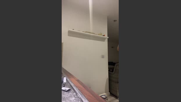 Mario84Luci 07-11-2025 Recorded Video fuckface