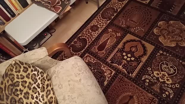 weed_whacker 06-11-2025 Recorded Video fuckhard
